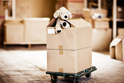 Patel Packers and Movers Books, Toys and Miscellaneous Items